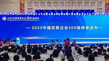 杏悦娱乐官网集团位列2023中国民营企业500强第203位、2023中国制造业民营企业500强第139位